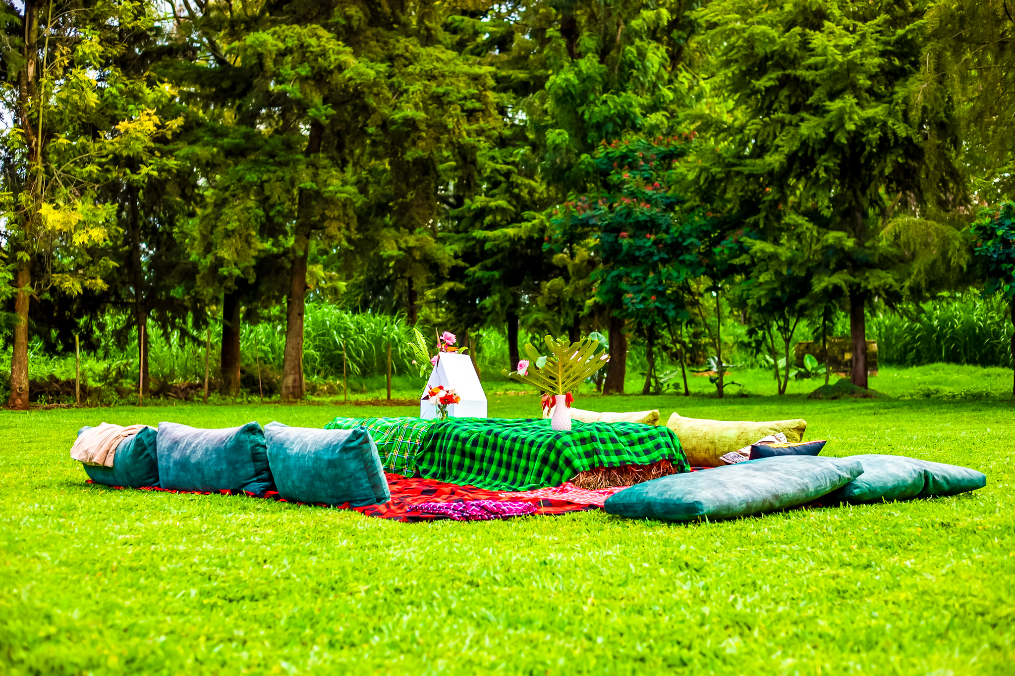 Picnics