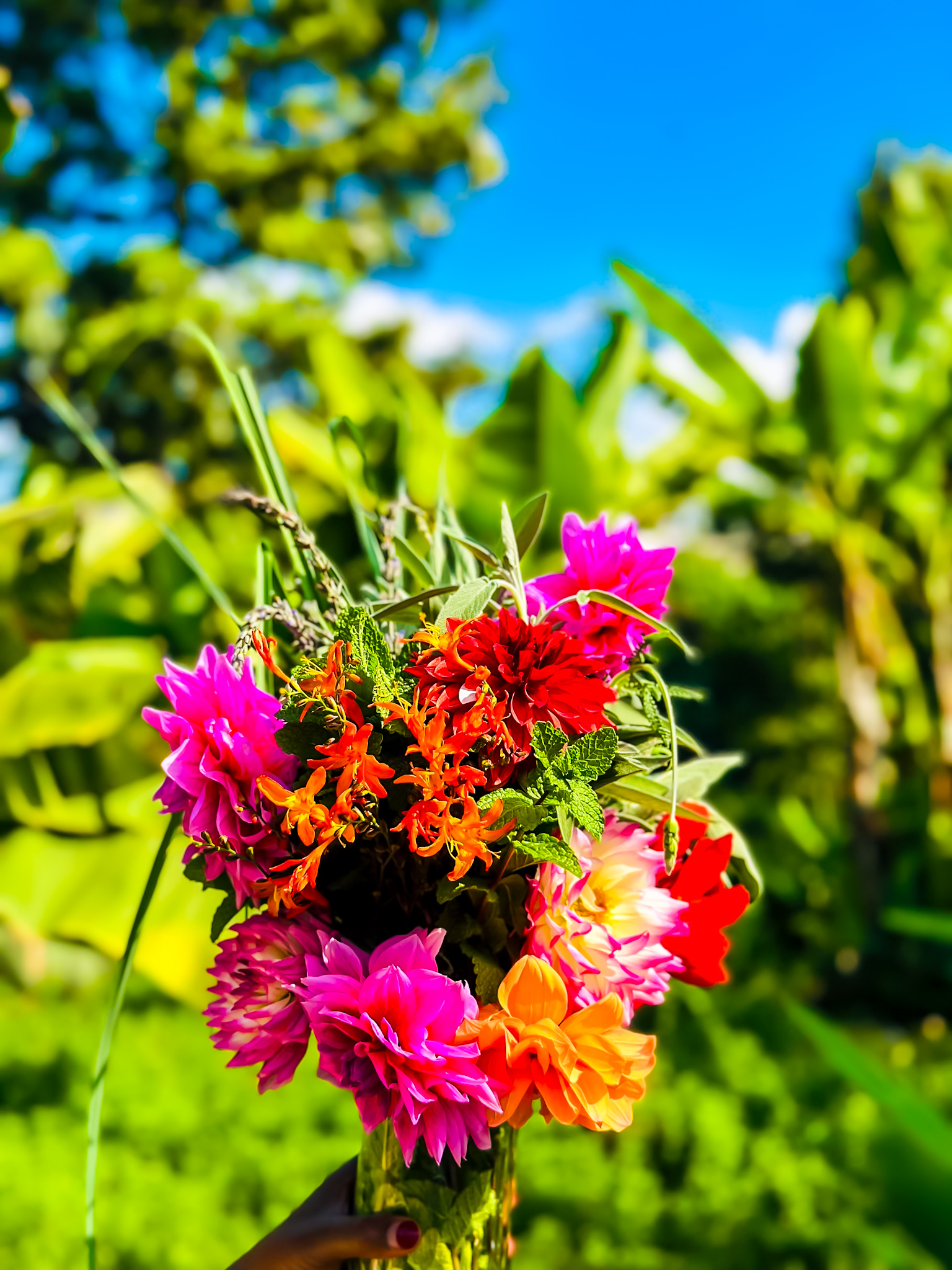 Sensory Garden Walk
